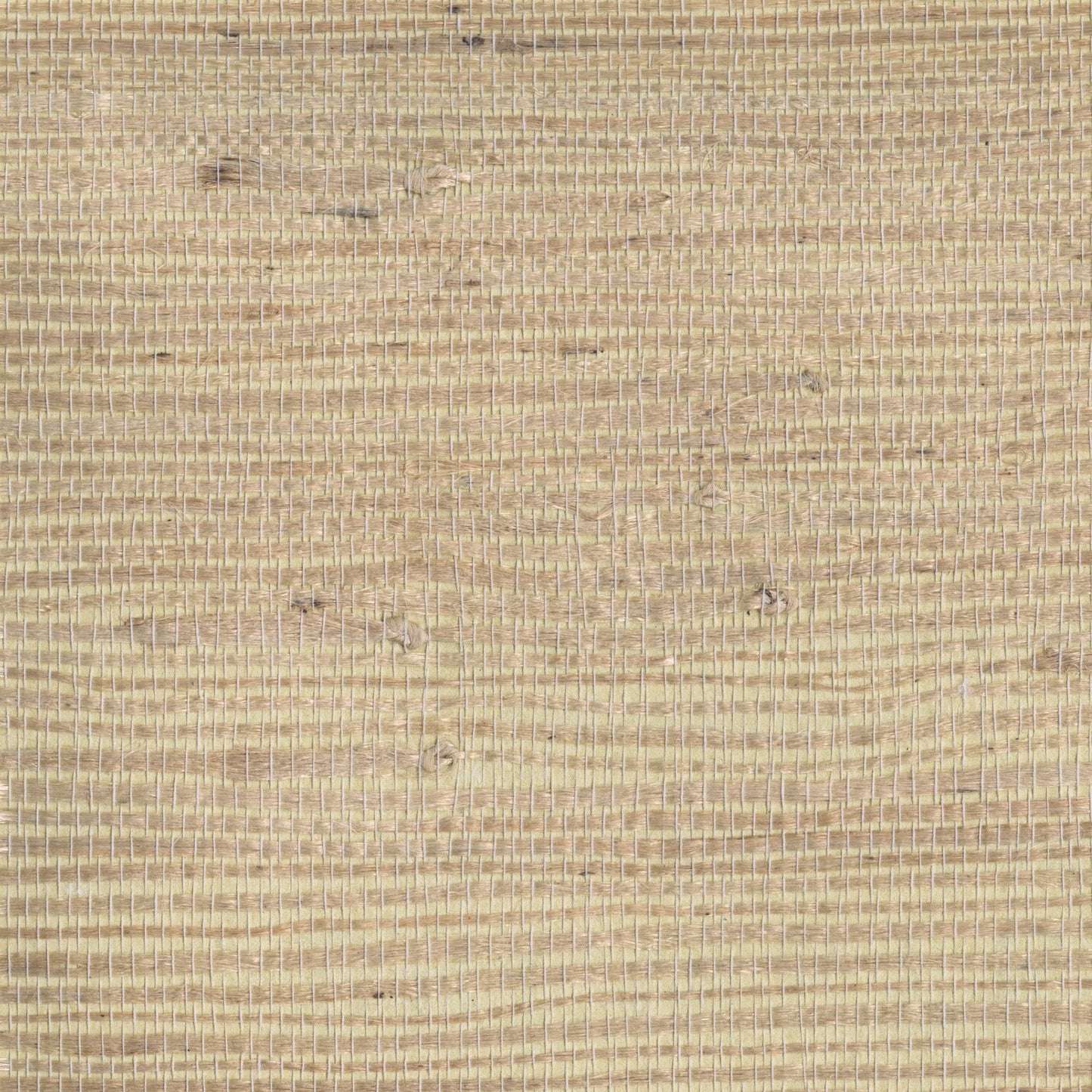 Buy 4018-0057 Grasscloth Portfolio Kostya Beige Grasscloth Beige by Advantage