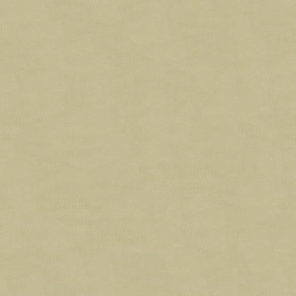 Sample 4070.11.0 Light Grey Drapery Solids Plain Cloth Fabric by Kravet Design