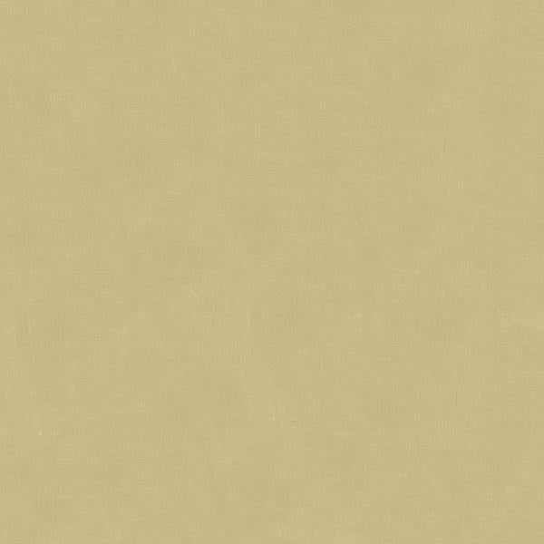 Sample 4070.16.0 Beige Drapery Solids Plain Cloth Fabric by Kravet Design