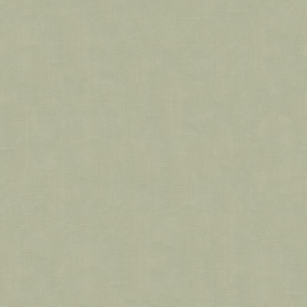Sample 4070.2121.0 Light Grey Drapery Solids Plain Cloth Fabric by Kravet Design