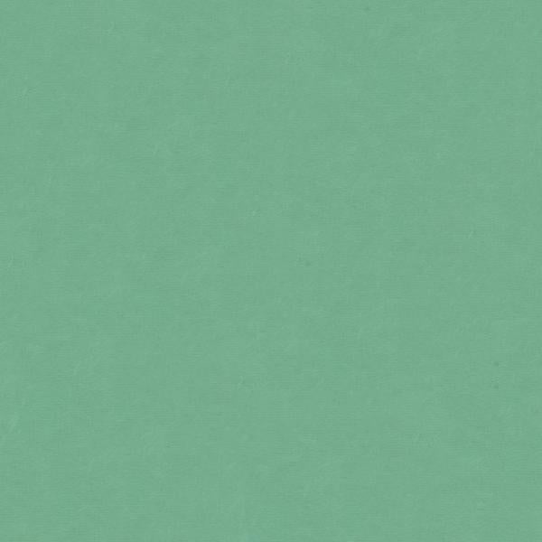 Sample 4070.3535.0 Green Drapery Solids Plain Cloth Fabric by Kravet Design