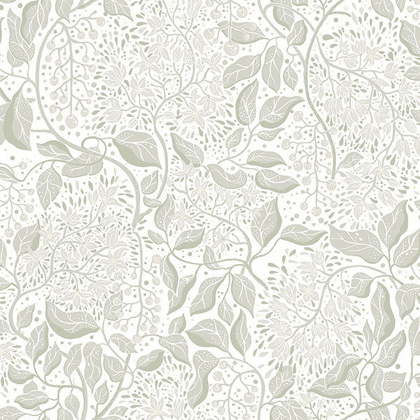 Purchase 4143-22020 A-Street Wallpaper, Turi Sage Twining Vines - Botanica