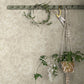 Purchase 4143-22022 A-Street Wallpaper, Turi Wheat Twining Vines - Botanica12
