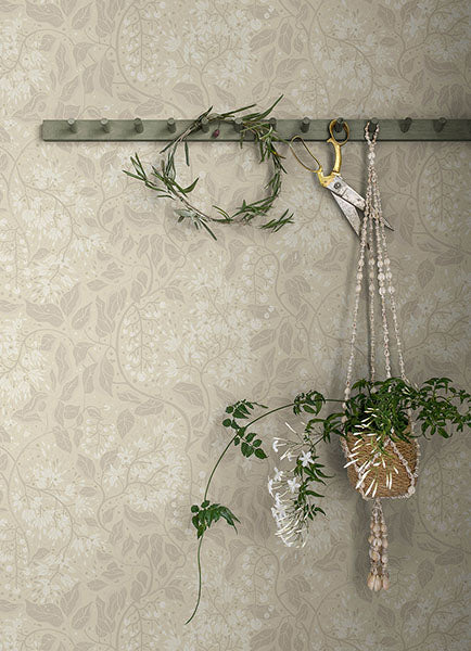 Purchase 4143-22022 A-Street Wallpaper, Turi Wheat Twining Vines - Botanica12