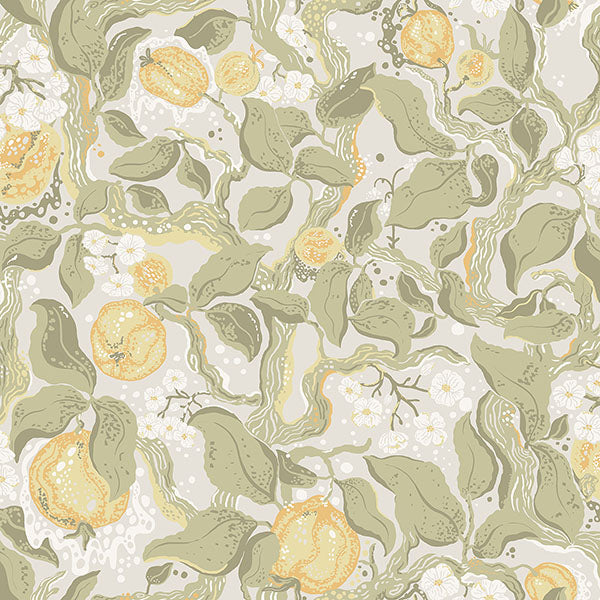 Purchase 4143-22025 A-Street Wallpaper, Kort Sage Fruit and Floral - Botanica