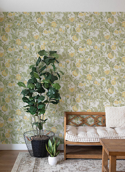 Purchase 4143-22025 A-Street Wallpaper, Kort Sage Fruit and Floral - Botanica12