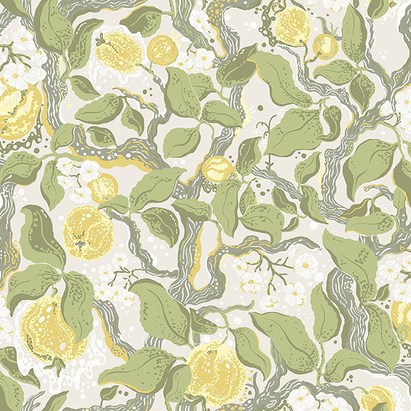 Purchase 4143-22027 A-Street Wallpaper, Kort Yellow Fruit and Floral - Botanica