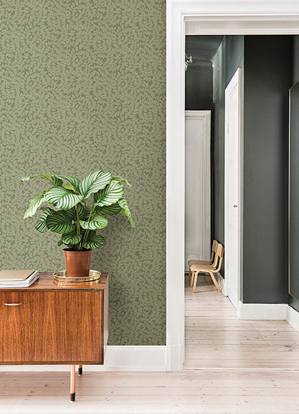Purchase 4143-34020 A-Street Wallpaper, Lindlöv Moss Leafy Vines - Botanica12