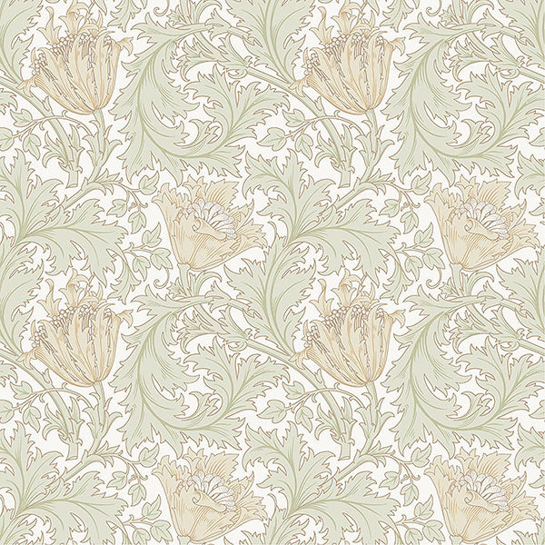 Purchase 4153-82002 A-Street Wallpaper, Anemone Light Green Floral Trail - Hidden Treasures