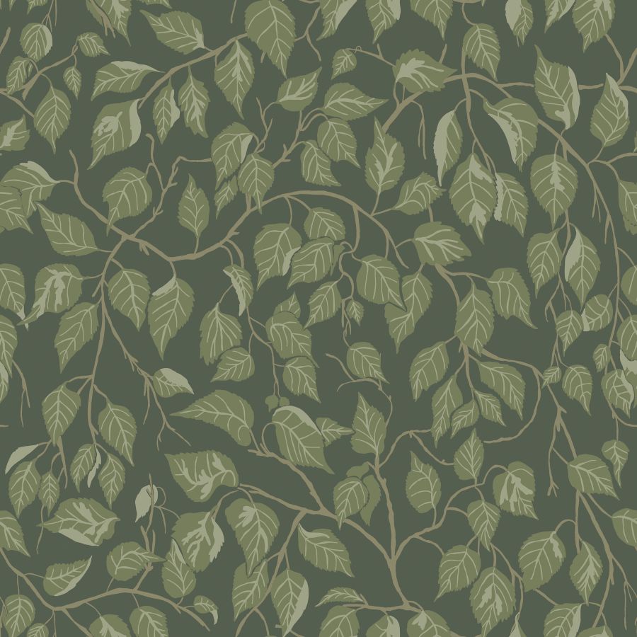 Purchase 4201-20108 A-Street Wallpaper, Hängbjörk Evergreen Vine - Savanna