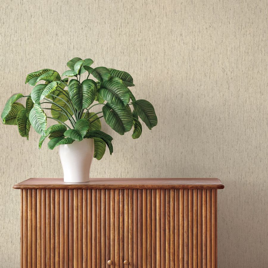 Purchase 4202-571073 A-Street Wallpaper, Roison Bone Birch Bark - Springhill12