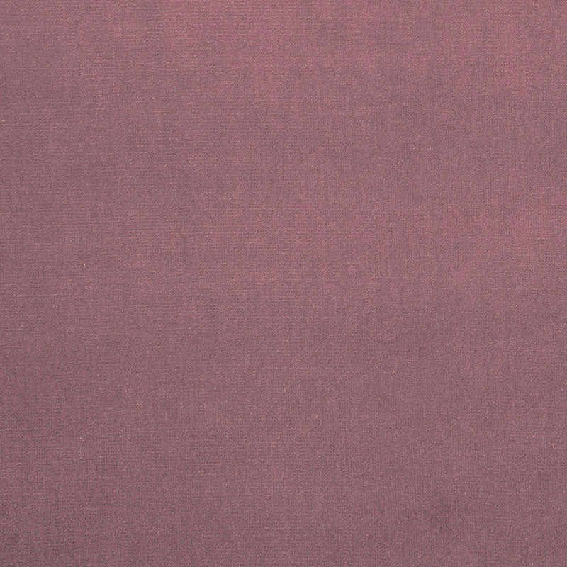 Purchase 42729 Gainsborough Velvet Tulipwood by Schumacher Fabric