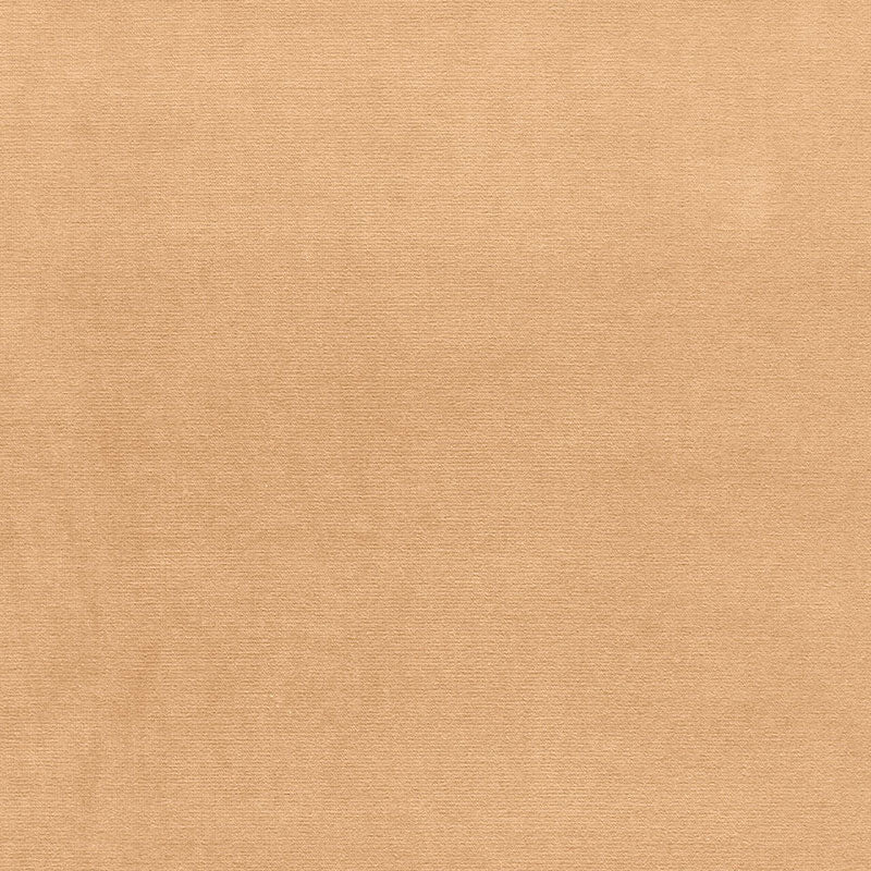 Buy 42784 Gainsborough Velvet Chamois by Schumacher Fabric