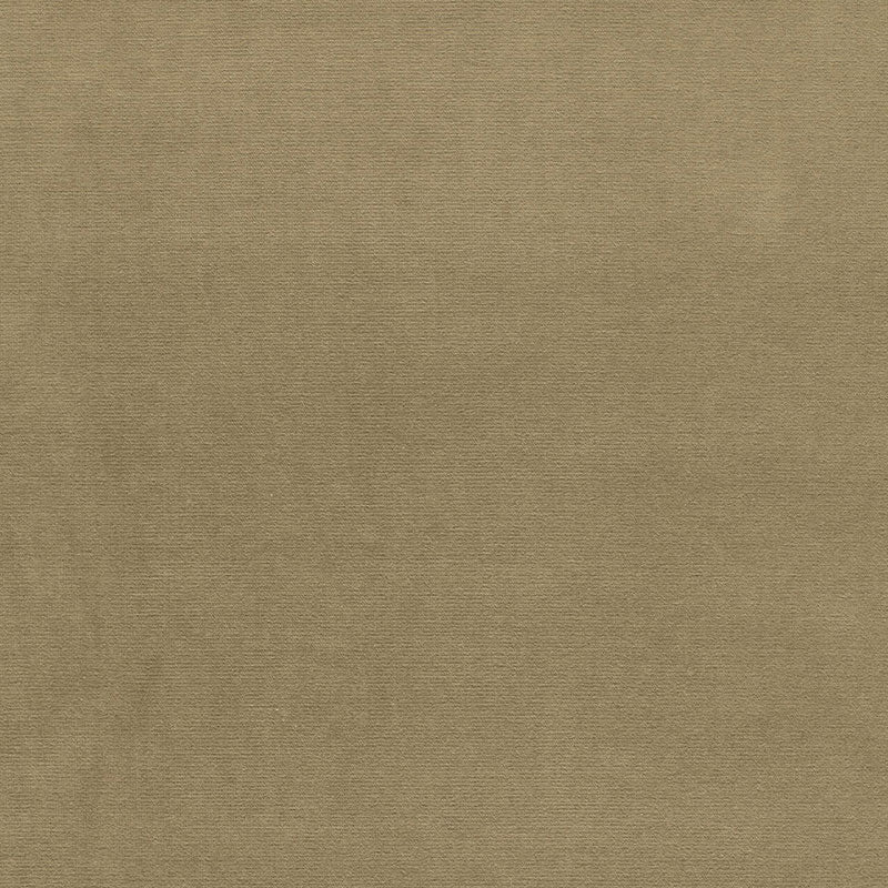 Shop 42856 Gainsborough Velvet Nile Green by Schumacher Fabric