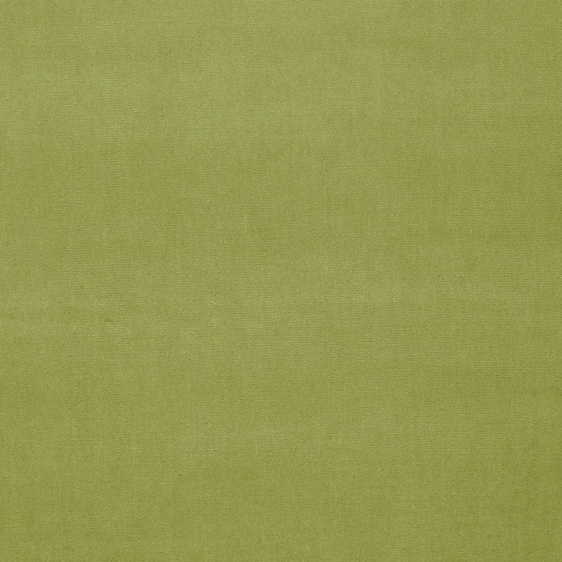 42864 | Gainsborough Velvet, Celery - Schumacher Fabric