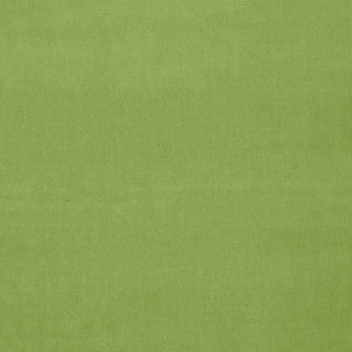 Buy 42871 Gainsborough Velvet Apple by Schumacher Fabric