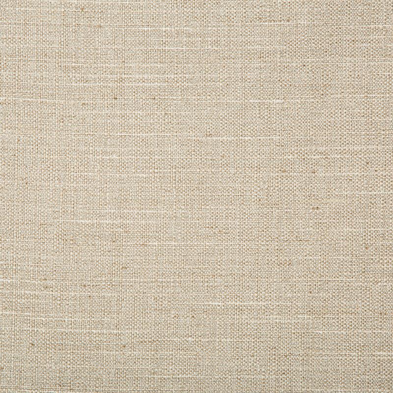 Sample 4665.106.0 Kravet Basics Neutral Solid Kravet Basics Fabric