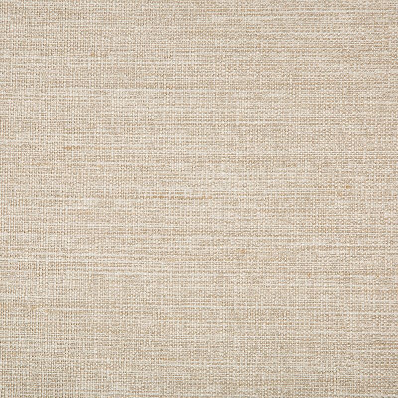 Sample 4673.16.0 Beige Solid Kravet Basics Fabric