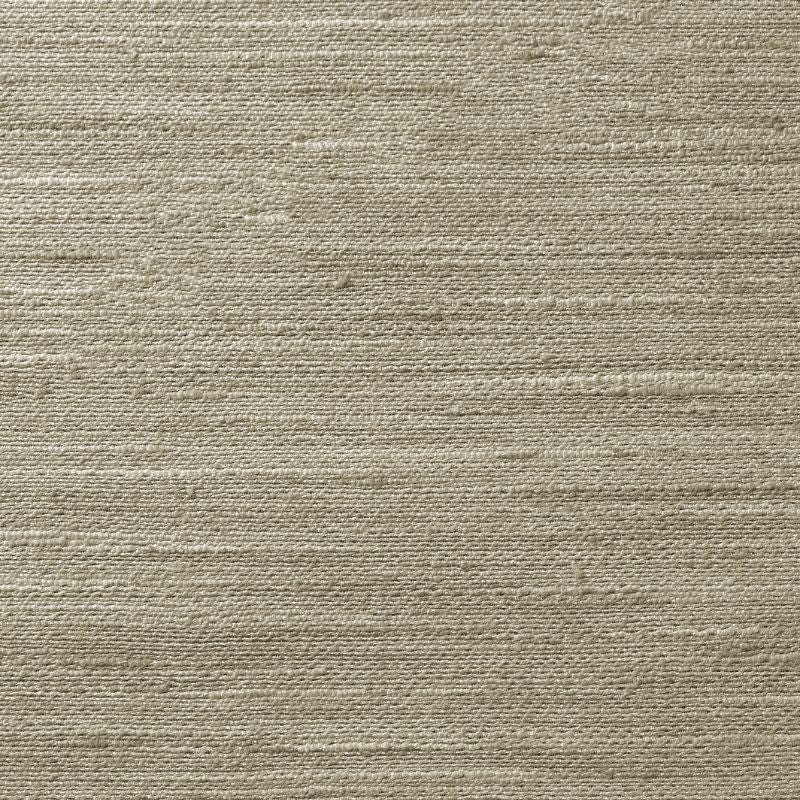 Sample 4854.121.0 Kravet Basics Grey Texture Kravet Basics Fabric