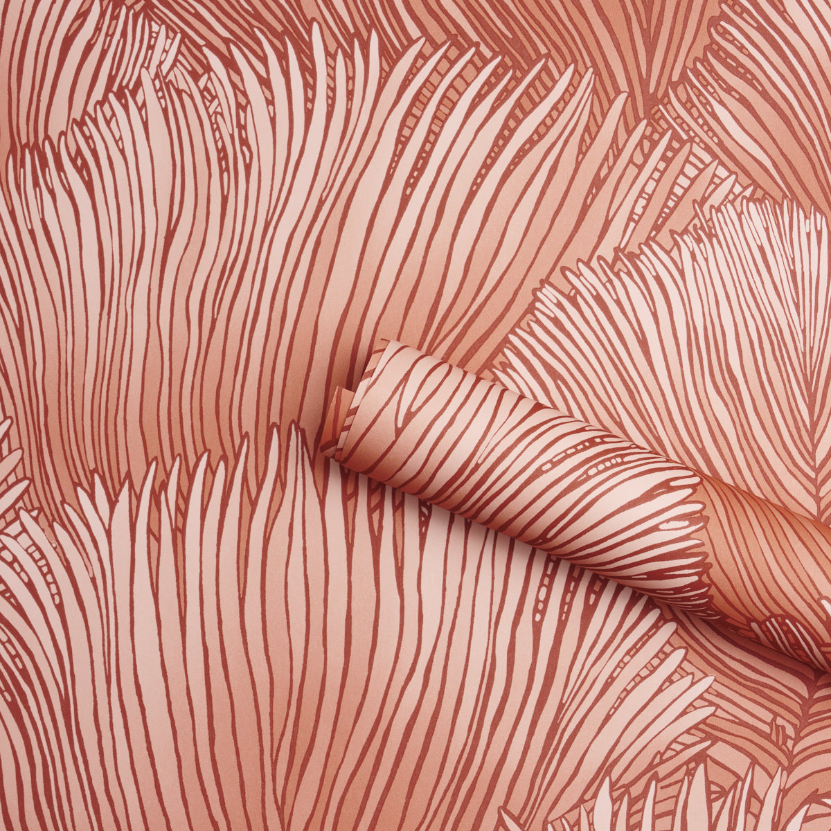 Purchase 5012654 | Fondale, Pink - Schumacher Wallpaper