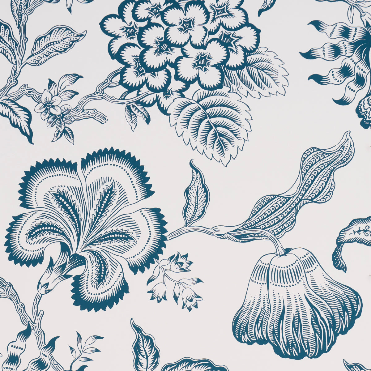 Purchase 5015324 | Hothouse Flowers Silhouette, Peacock On White - Schumacher Wallpaper