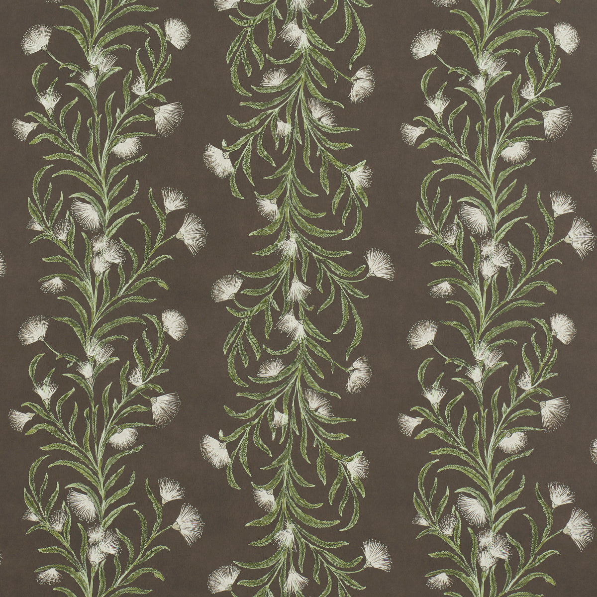 Purchase 5015361 | Tasmanian Mimosa, Brown &Green - Schumacher Wallpaper
