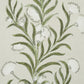 Purchase 5015362 | Tasmanian Mimosa, Ivory & Green - Schumacher Wallpaper