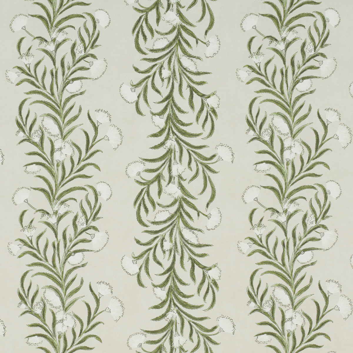 Purchase 5015362 | Tasmanian Mimosa, Ivory & Green - Schumacher Wallpaper