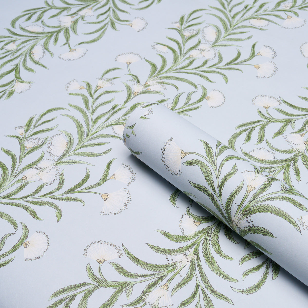 Purchase 5015363 | Tasmanian Mimosa, Sky - Schumacher Wallpaper