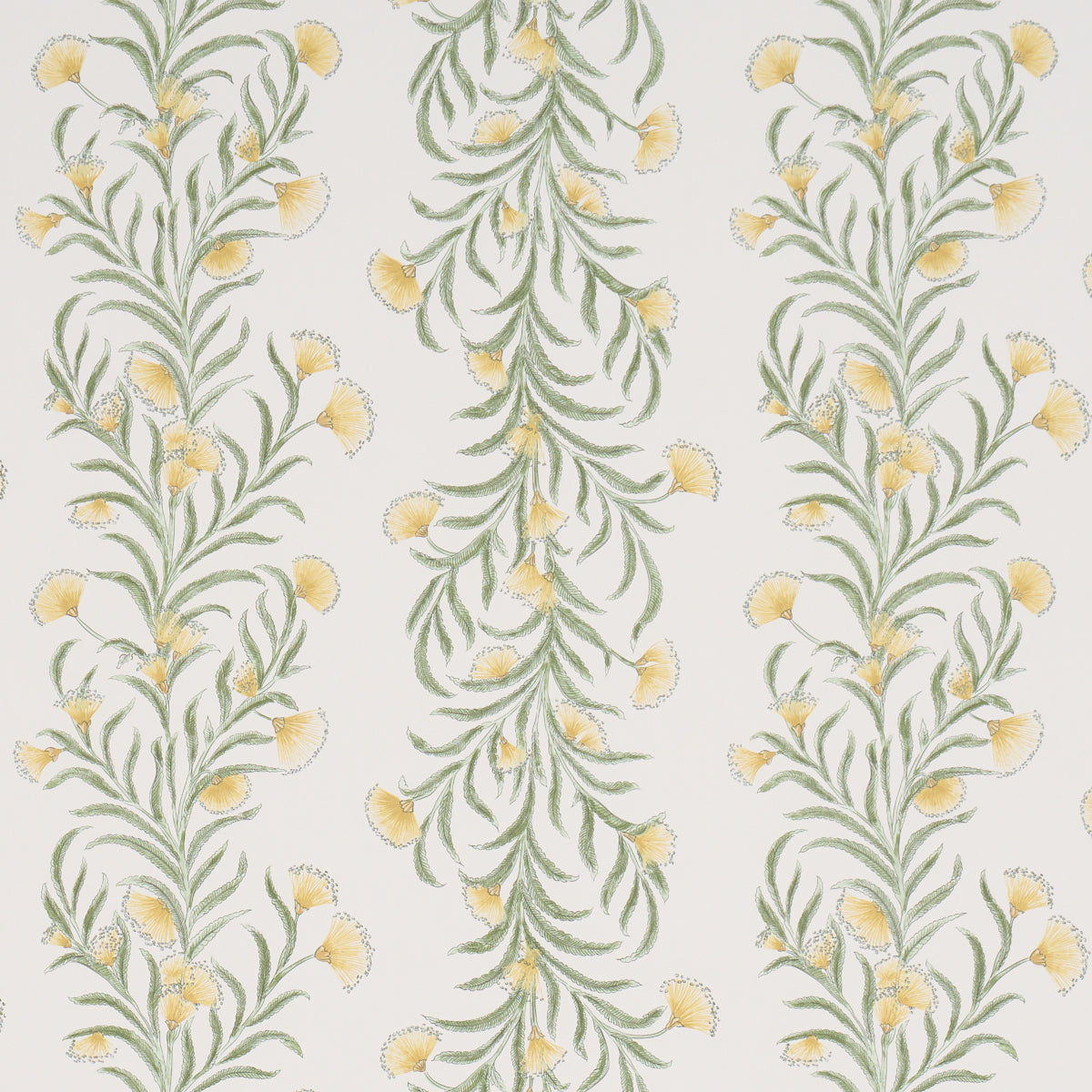 Purchase 5015365 | Tasmanian Mimosa, Marigold - Schumacher Wallpaper