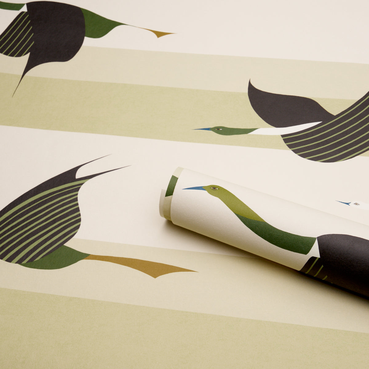 Purchase 5015853 | Flying West, Green - Schumacher Wallpaper