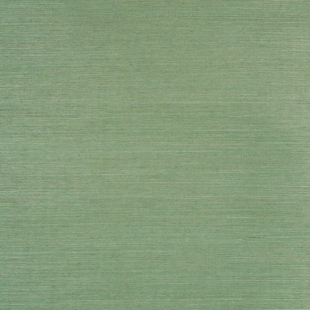 Purchase 5016854 | Haruki Sisal, Drive-Thru Safari - Schumacher Wallpaper