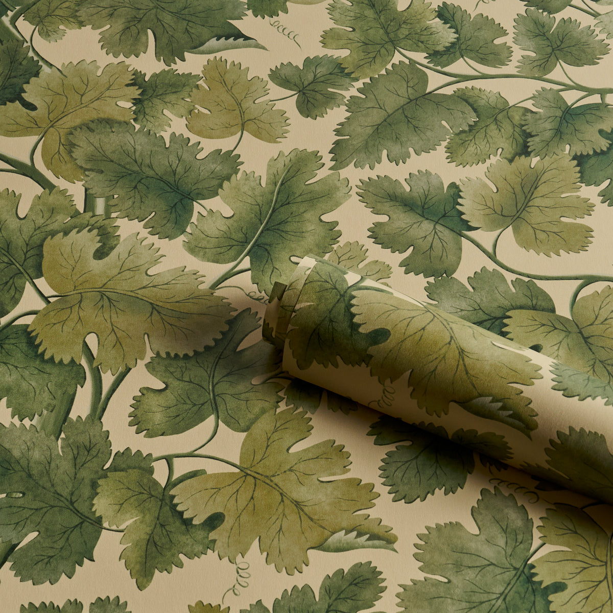 Purchase 5017731 | Edinburgh Vine, Forest - Schumacher Wallpaper