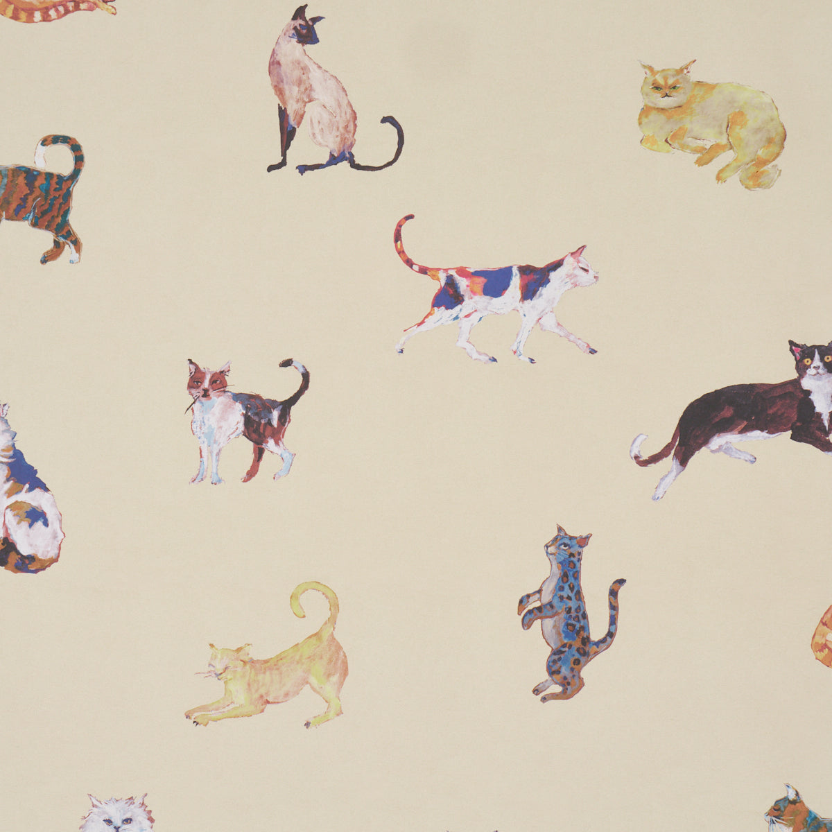 Purchase 5018071 | Cats, Cream - Schumacher Wallpaper
