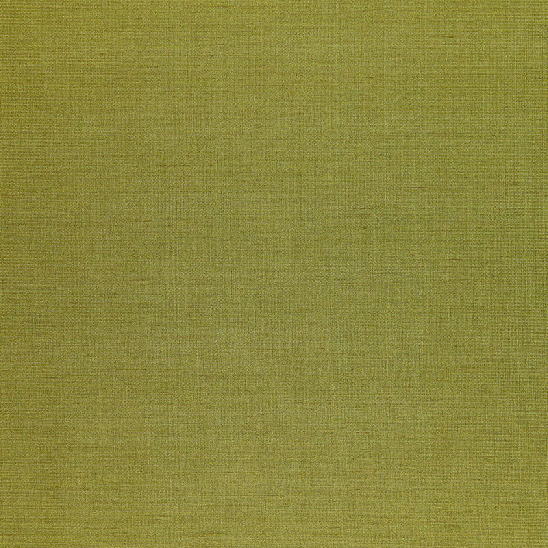 Shop 50446 Poiret Satin Vert by Schumacher Fabric