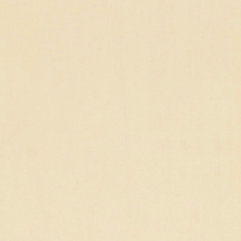 Buy 54374 Toscana Chamois by Schumacher Fabric