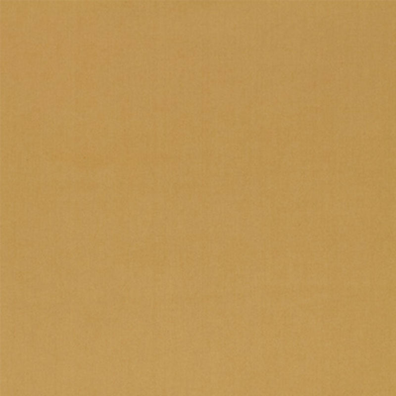 Buy 54380 Luana Chamois by Schumacher Fabric