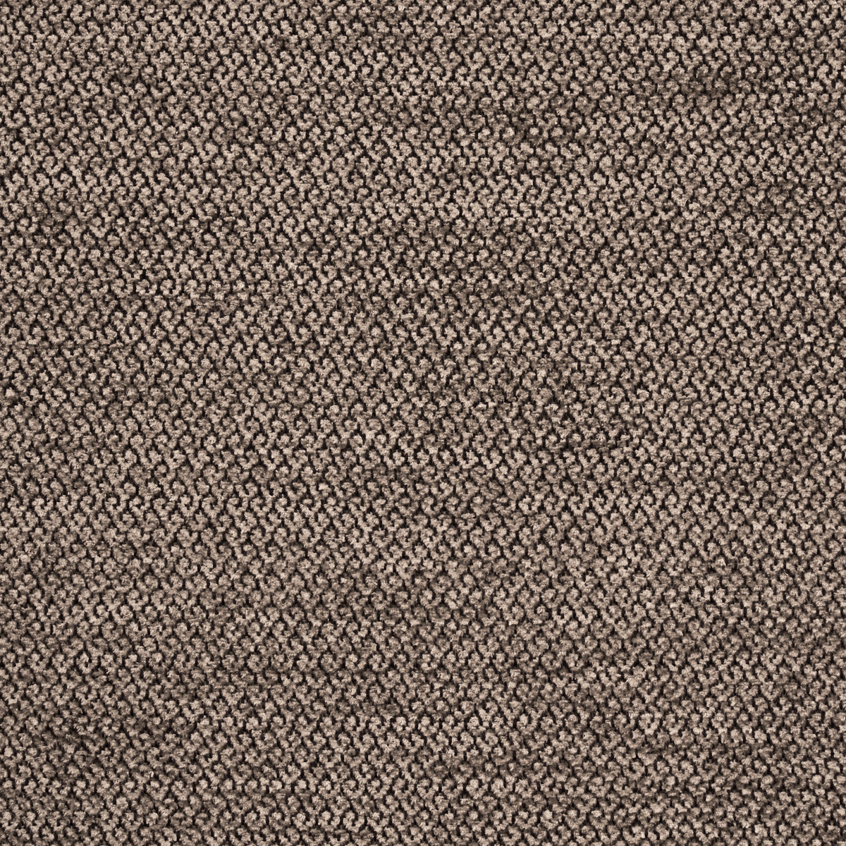 Purchase 54384 Luana Mate by Schumacher Fabric
