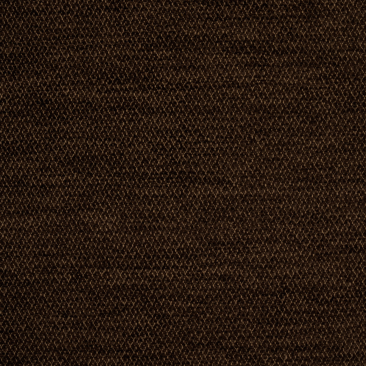 Shop 54385 Luana Brown by Schumacher Fabric