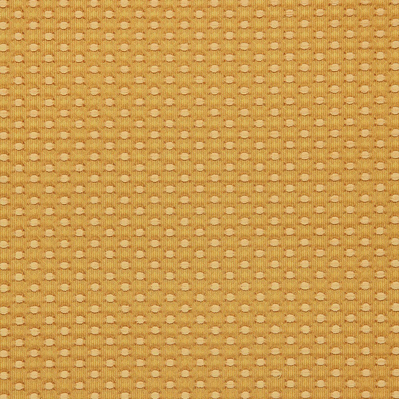 Buy 60284 Monserat Chenille Gold by Schumacher Fabric