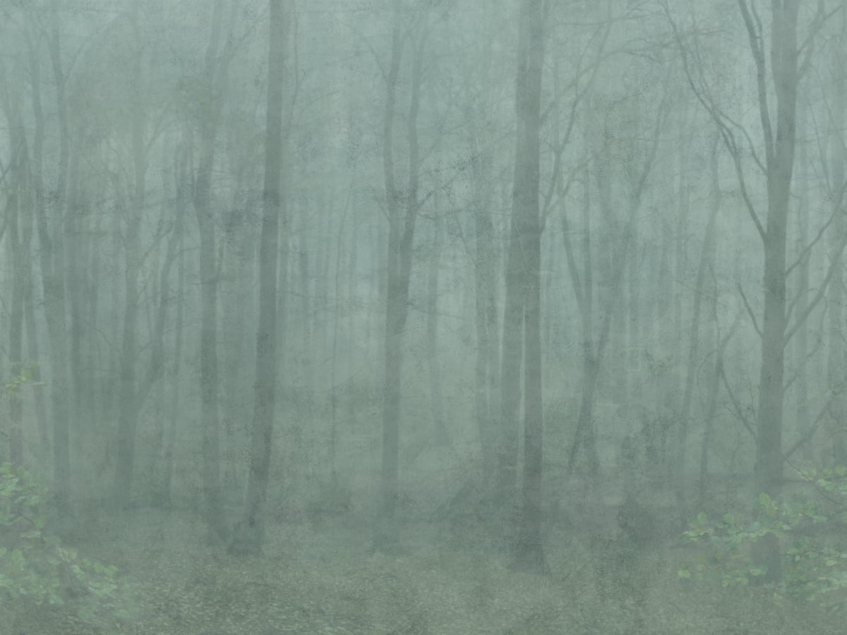 Sandberg Wallpaper pattern name & color Skog Forest Green from the collection Jordnära.