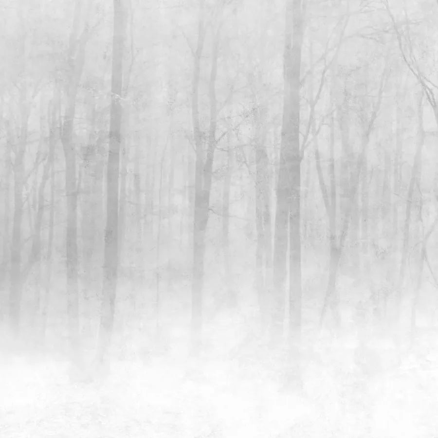 Sandberg Wallpaper Pattern 622-18 pattern name & color Vinterskog Grey from the collection Sandberg Edition.