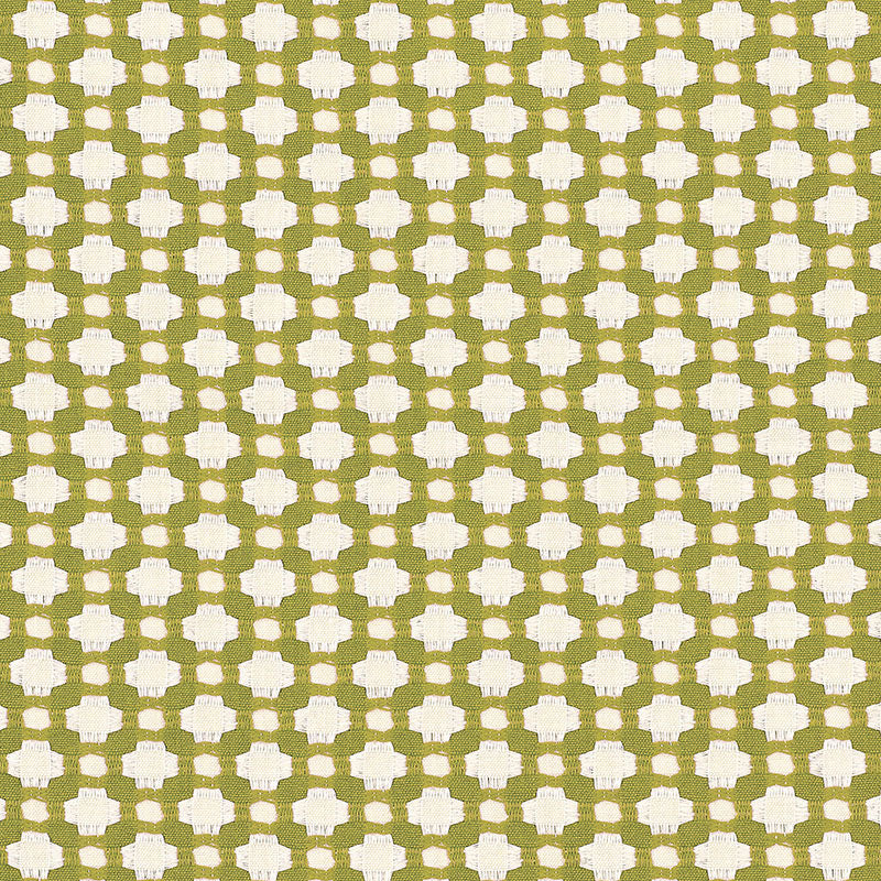 Shop 62614 Betwixt Grass/Ivory by Schumacher Fabric