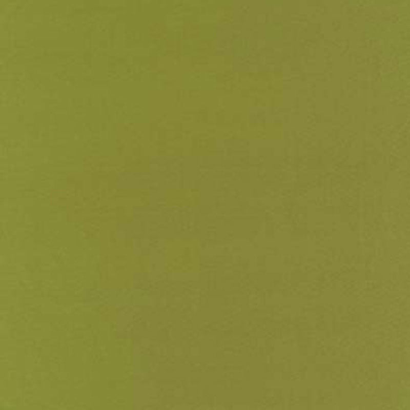 Acquire 63827 Botticelli Silk Taffeta Apple by Schumacher Fabric
