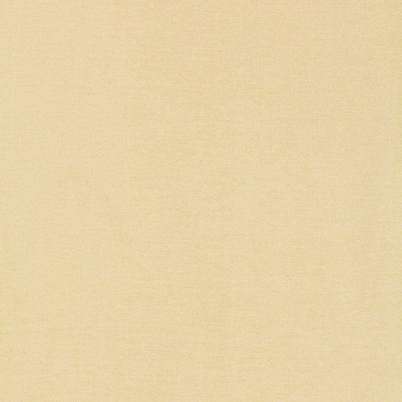 Acquire 63841 Tiepolo Shantung Weave Bone by Schumacher Fabric