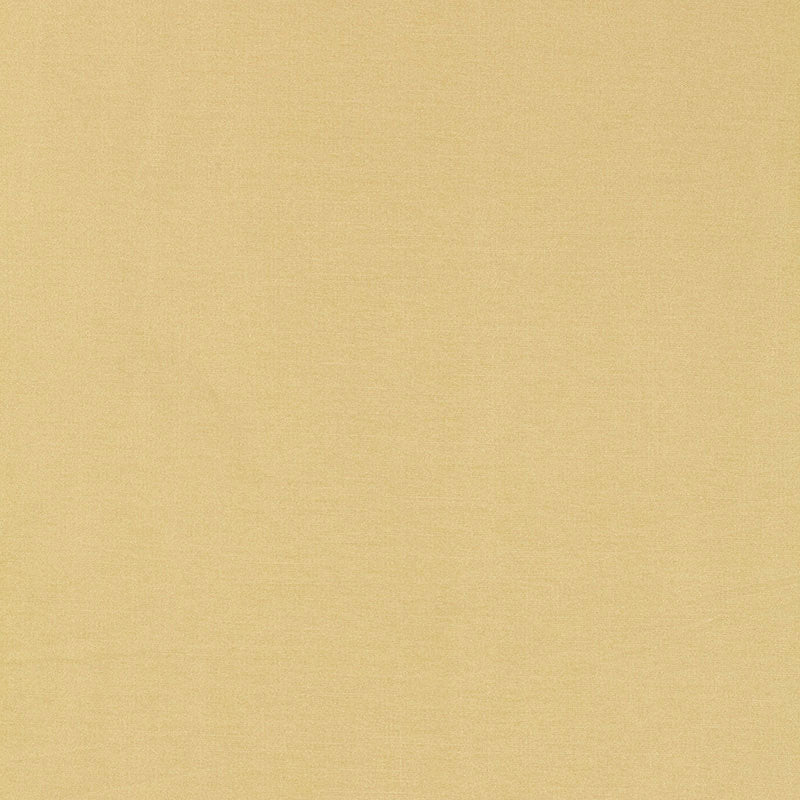 Select 63843 Tiepolo Shantung Weave Champagne by Schumacher Fabric