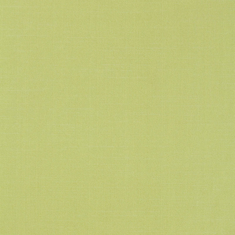 Buy 63866 Tiepolo Shantung Weave Limeade by Schumacher Fabric