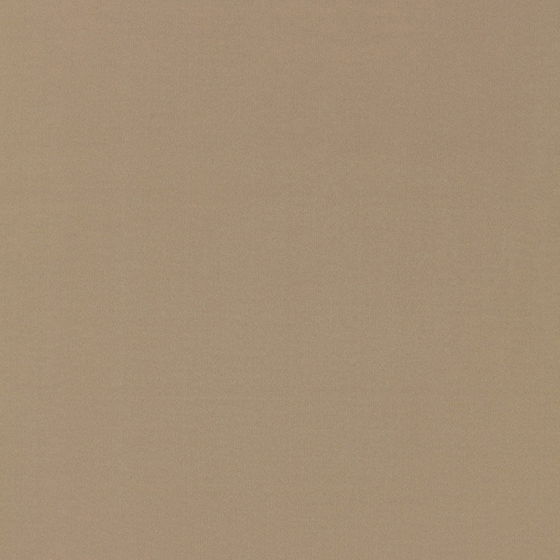 Buy 63901 Masaccio Taffeta Fawn by Schumacher Fabric