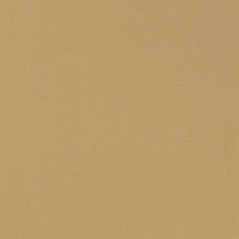 Shop 63908 Masaccio Taffeta Chamois by Schumacher Fabric