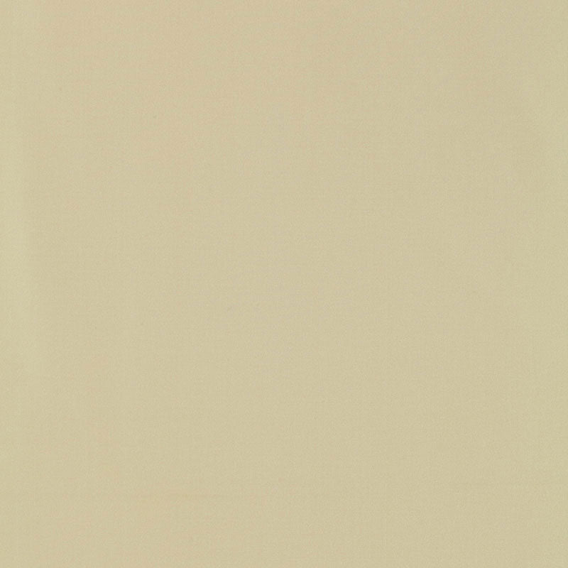 Purchase 63931 Giordano Taffeta Buff by Schumacher Fabric